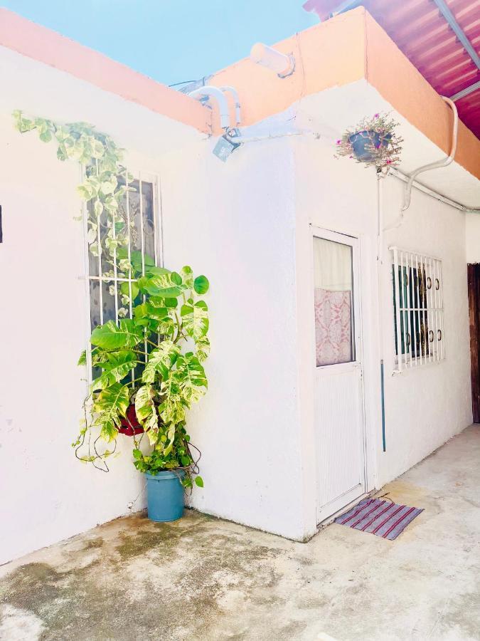 Alojamiento En La Calle 56 Playa Del Carmen Exterior foto